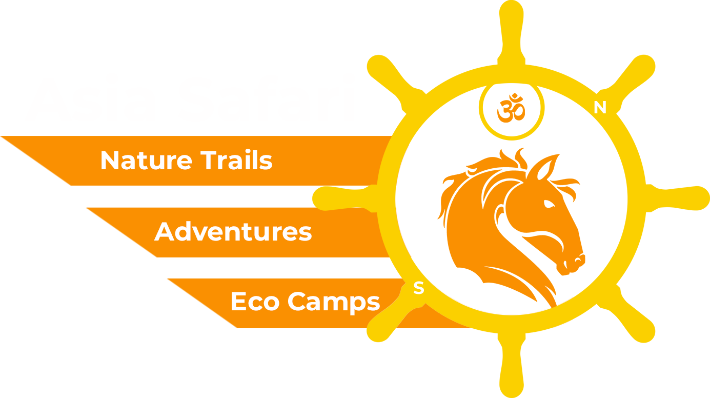 Asia Safari